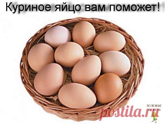 Куриное яйцо вам поможет!