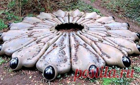 Необъяснимые вещи, которые вытащили из болот