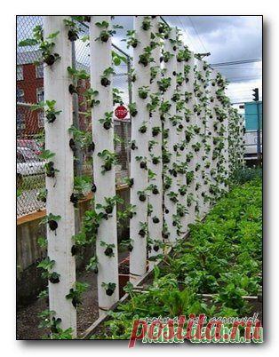 секретик вертикальной грядки | Наша дача