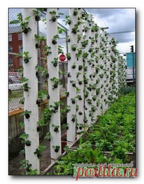 секретик вертикальной грядки | Наша дача