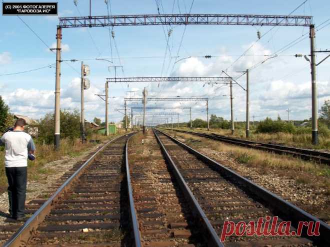 Просмотр фотографии