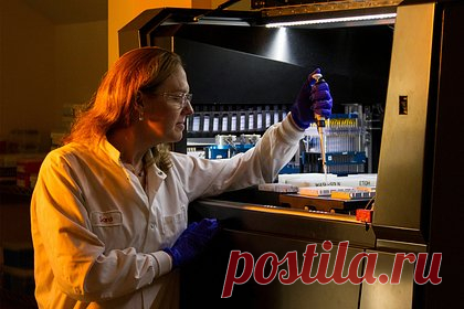 Обнаружены доказательства гипотезы РНК-мира. Ученые Института биологических исследований Солка обнаружили доказательства гипотезы РНК-мира, согласно которой ключевым предшественником живых клеток стали самовоспроизводящиеся молекулы РНК. Им удалось создать рибозим, копирующий другие рибозимы с высокой точностью, а также вносящий в них полезные мутации.