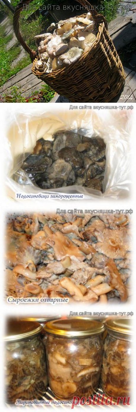 Заготовка грибов на зиму - 22 Июля 2015 - Готовим сами