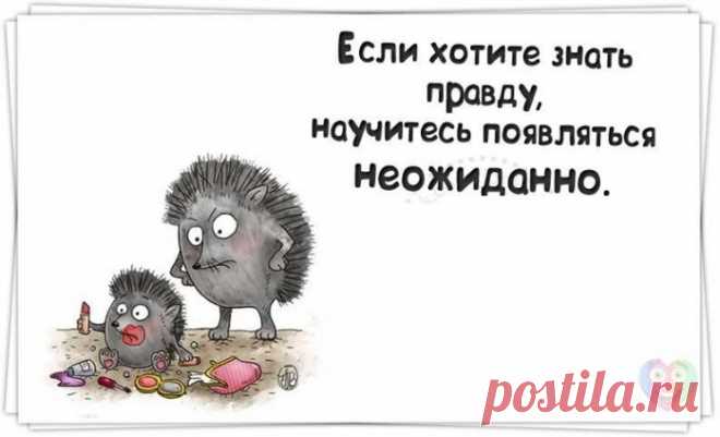 ПОЗИТИВНЫЕ ФРАЗОЧКИ В КАРТИНКАХ