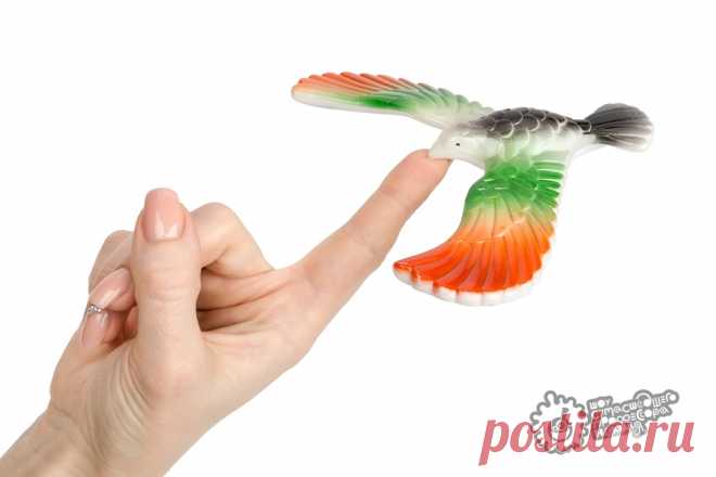 Детские научные игры, научно познавательные игрушки для детей