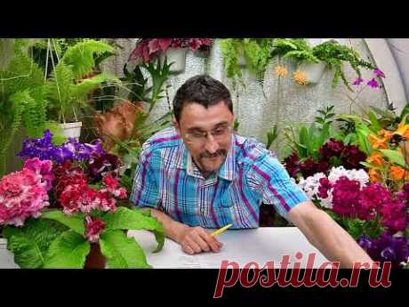 Ответы на вопросы о поливе, часть 2