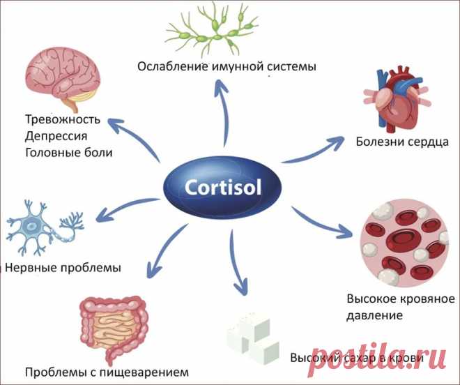 Хронический стресс и кортизол: почему вы плохо спите и не худеете