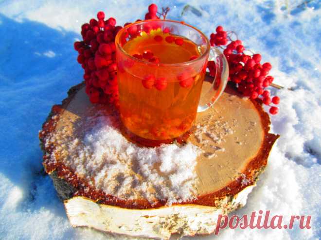 Горячий рябиновый напиток, укрепляющий иммунитет
Зимняя красавица рябина нас к себе манила. Витамином красоты нас одарила. Красная рябина богата витамином А и С (витамин А — это витамин красоты и молодости, а витамин С — иммуномодулятор и румянец на лице). Зимние ягоды созданы природой, чтобы помочь «зимующим» людям и птицам перезимовать. Сегодня мы сделаем чудесный витаминный согревающий рябиновый напиток (горячие […]
Читай дальше на сайте. Жми подробнее ➡