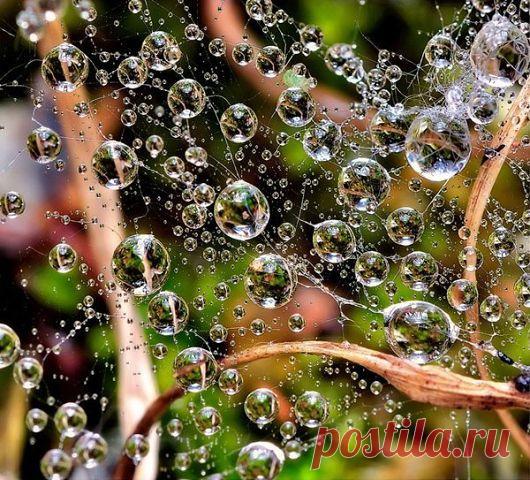 (99+) Одноклассники