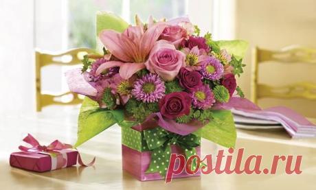 tulipanes de colores - Buscar con Google