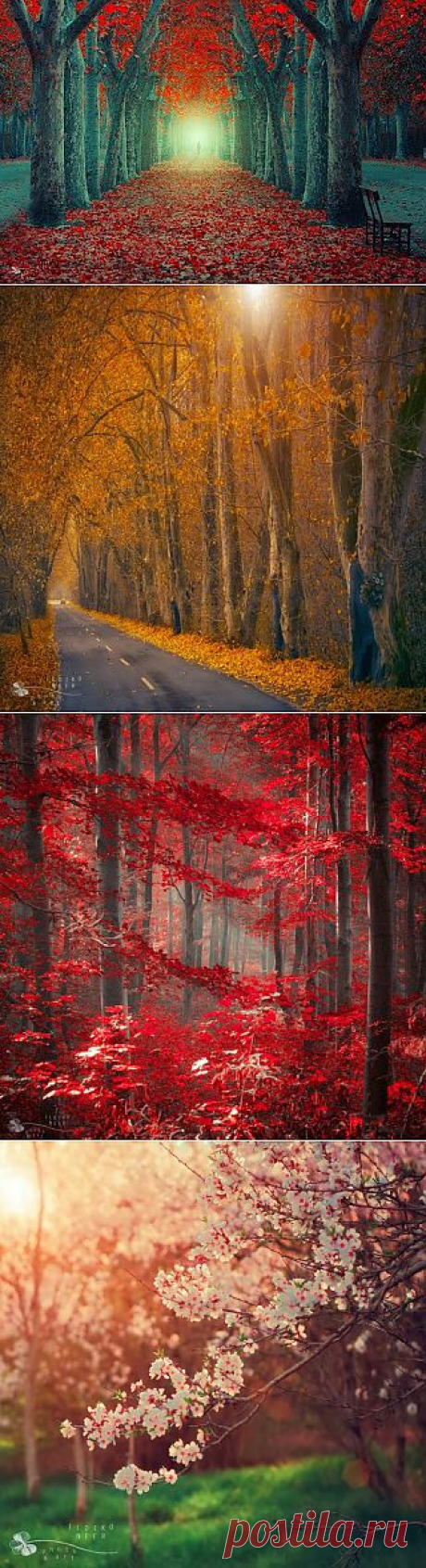 Сказочная страна. Ildiko Neer (фотографии)