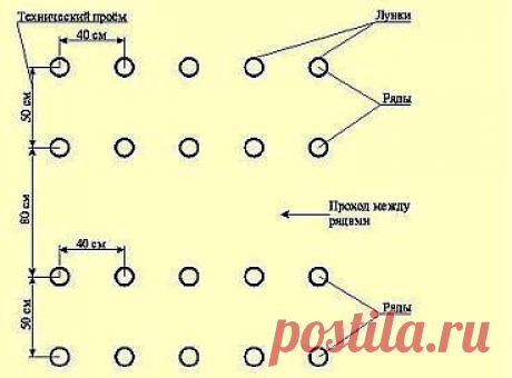 (74) Одноклассники