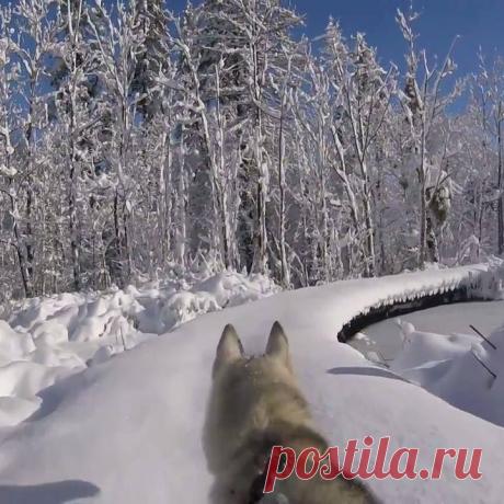 (93) Facebook