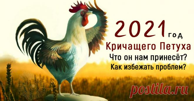Год кричащего петуха...