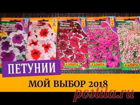 Какие семена петуний купила на 2018г. Выбираем лучшие сорта