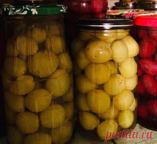 Маринованный виноград. 1 кг винограда, 700 мл воды, палочка корицы,  гвоздика, душистый перец, горчица, 300 г сахара, 15 г соли, 100 мл. яблочного уксуса. Разложи в стерилизованные банки по 2 горош. душистого перца, по 2 гвоздики и по щепотке зерен горчицы. Плотно заполни банки виноградом.  Прокипяти 2-3 мин. воду с сахаром, солью, корицей. Добавь уксус. Залей маринадом виноград, укупорь банки и оберни одеялом до полного остывания.