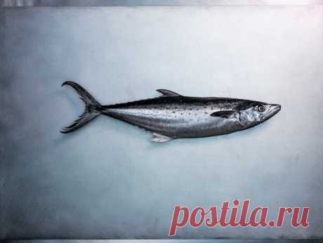 Видите тонкую черную полоску на боку у макрели? Эта боковая линия – важная часть системы, которая позволяет рыбе ориентироваться в воде. Благодаря крохотным эпителиальным чувствительным органам, которые тянутся вдоль этой линии, рыба определяет движение воды, ощущает ее давление. Все это позволяет макрели охотиться, избегать препятствий, оставаться в стае даже в темноте. Фото: Ребекка Хейл