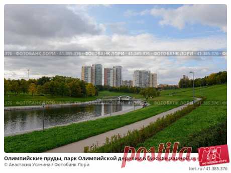 Олимпийские пруды, парк Олимпийской деревни в Москве ранней осенью (2016 год) Редакционное фото, фотограф Анастасия Усанина / Фотобанк Лори