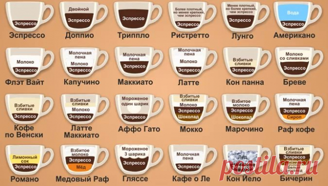 Кофе: сорта и разновидности напитка