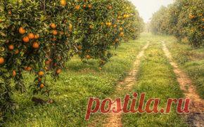 Природа обои на рабочий стол - страница 132