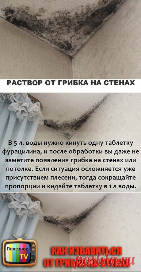 (73) Одноклассники