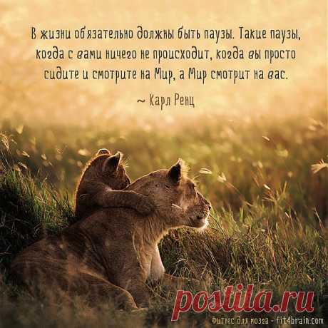 В жизни обязательно должны быть паузы