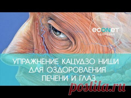 Упражнение Кацудзо Ниши для оздоровления печени и глаз