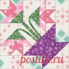 (71) Pinterest