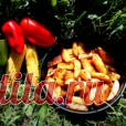 Картофель 