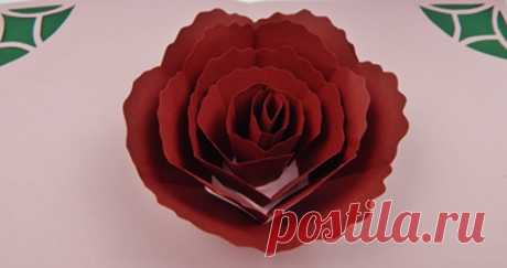 Pop up cards other by SabrinasCraftingClub on DeviantArt