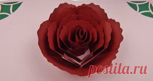 Pop up cards other by SabrinasCraftingClub on DeviantArt