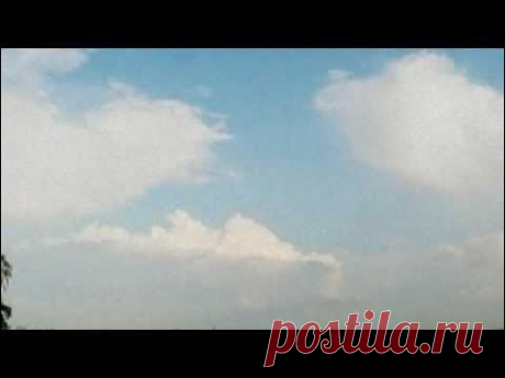 Геннадий Жуков "Бусина" borickello-video