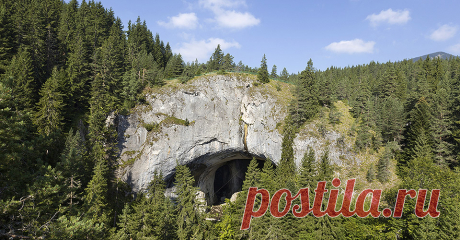 national geographic bulgaria - Google Търсене