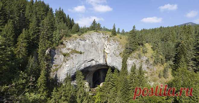 national geographic bulgaria - Google Търсене