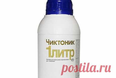 ИСПОЛЬЗОВАНИЕ КОНЦЕНТРИРОВАННЫХ ВИТАМИНОВ ПРОМЫШЛЕННОГО ПРОИЗВОДСТВА.
Все птицеводы знают эффективность аптечных витаминных комплексов. Так, Аминовитал содержит 18 важнейших аминокислот, 8 витаминов и микроэлементы. Препарат водорастворимый, добавляется в питьевую воду в первую неделю в концентрации 2-4 мл на 10 л воды. Если птичка ослаблена или прошла курс лечения антибиотиками, витаминный комплекс ей просто необходим.
Препарат Чиктоник относится к ряду пробиотиков. Пробиотики применяют для ук