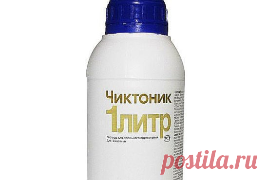 ИСПОЛЬЗОВАНИЕ КОНЦЕНТРИРОВАННЫХ ВИТАМИНОВ ПРОМЫШЛЕННОГО ПРОИЗВОДСТВА.
Все птицеводы знают эффективность аптечных витаминных комплексов. Так, Аминовитал содержит 18 важнейших аминокислот, 8 витаминов и микроэлементы. Препарат водорастворимый, добавляется в питьевую воду в первую неделю в концентрации 2-4 мл на 10 л воды. Если птичка ослаблена или прошла курс лечения антибиотиками, витаминный комплекс ей просто необходим.
Препарат Чиктоник относится к ряду пробиотиков. Пробиотики применяют для ук