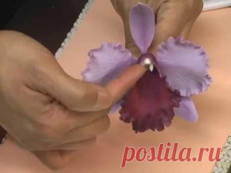 Making a Gumpaste Cattleya Orchid by Petal Crafts
