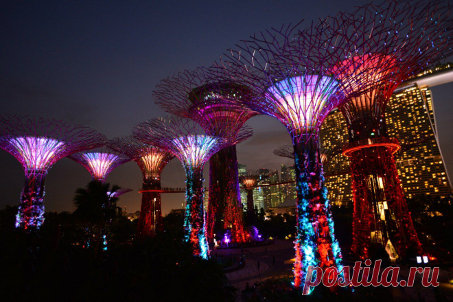 Ольга КвятковскаяGardens by the Bay - сады у залива
Лазерное шоу