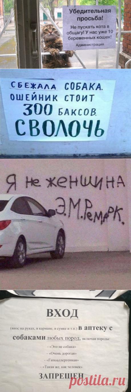 15 объявлений, которые сделали наш день