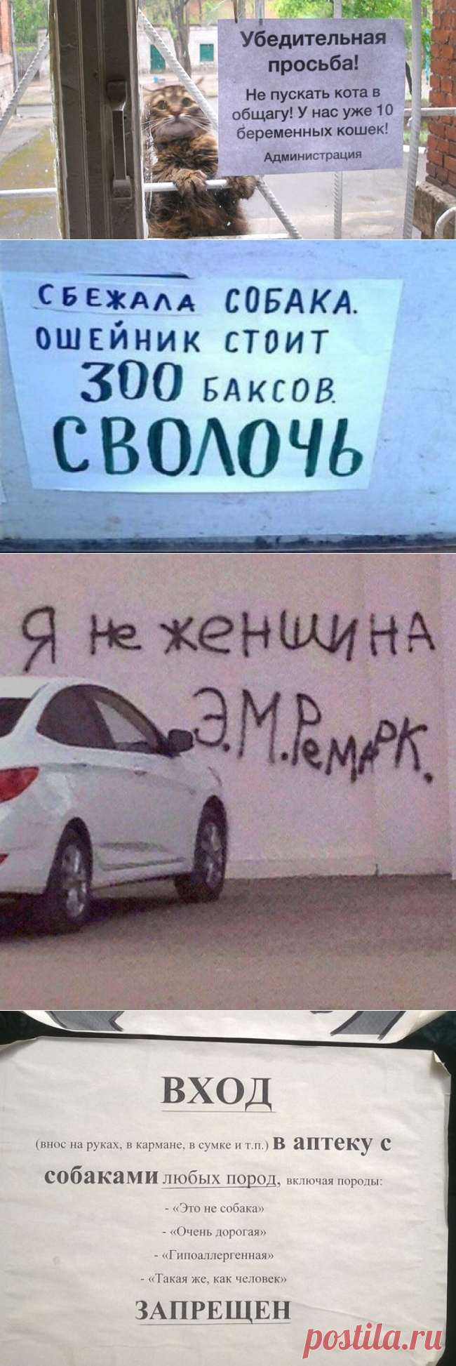 15 объявлений, которые сделали наш день