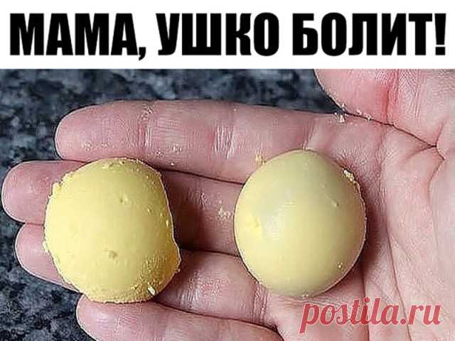 «Мама, ушко болит!»

Ситуация, знакомая многим родителям. Рецепт же крайне прост, дешев и эффективен.

Сварите вкрутую яйцо, затем тщательно отделите белок от желтка и положите желток в чистую простую (ни в коем случае не в искусственную и не в марлю) ткань и выжмите из него на блюдце несколько капелек. Эти капельки и закапываете в больное ушко. Боль проходит мгновенно и уже не возвращается. Главное условие — ткань, блюдце и пипетка должны быть стерильно чистыми, чтобы не ...