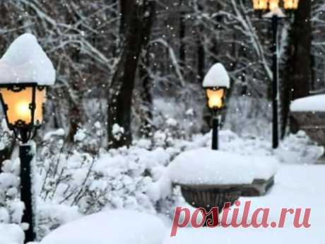 Суперхит ХХ века  Salvatore Adamo  «Tombe la neige»