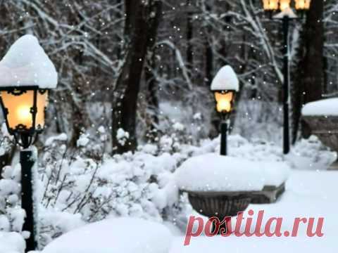 Суперхит ХХ века  Salvatore Adamo  «Tombe la neige»