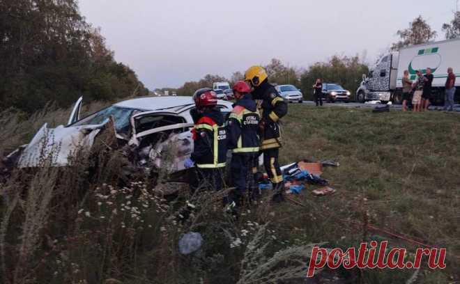 Женщина и два ребенка погибли в ДТП в Саратовской области. В Саратовской области женщина и двое детей погибли в результате аварии на трассе с участием автомобилей Peugeot и Toyota, сообщил в телеграм-канале начальник управления региональной безопасности правительства области Юрий Юрин со ссылкой на начальника службы спасения области Никиту Зраду.