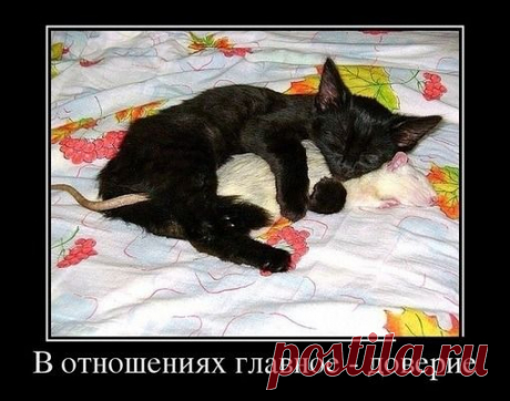 Мой Мир@Mail.Ru