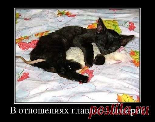 Мой Мир@Mail.Ru