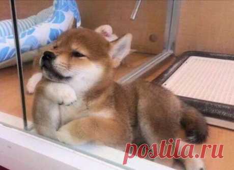 «И что ты мне еще расскажешь?»