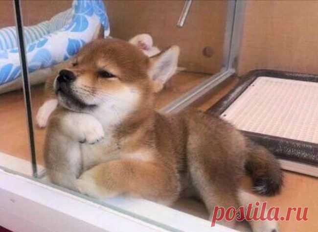 «И что ты мне еще расскажешь?»