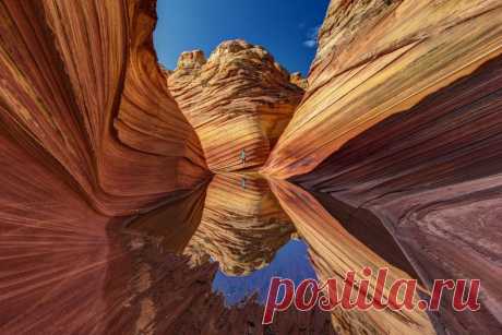 30 лучших снимков National Geographic за год