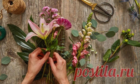 Как продлить жизнь букету цветов? Получить в подарок роскошный букет – всегда приятно. Но как сохранить эту красоту? Особенно если букет был подарен с любовью.
К счастью, существует...